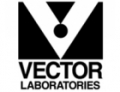 vector_labs_logo (1)